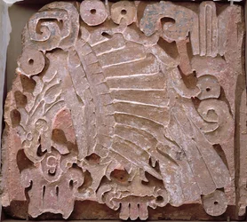 Eagle Relief